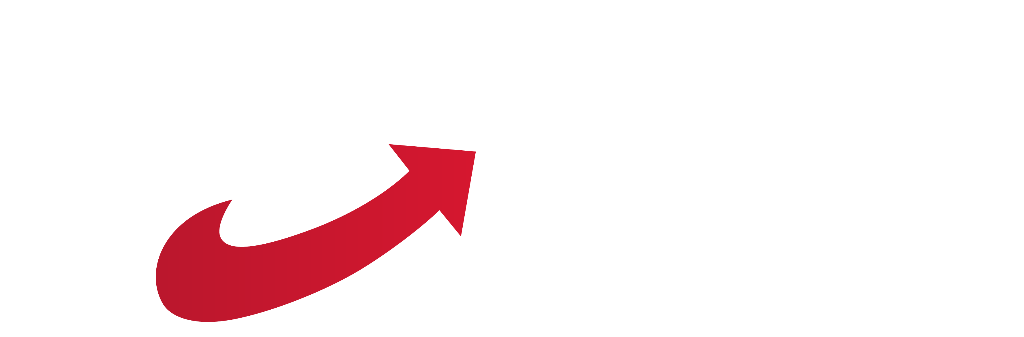 afd-stadtverband-wesseling.de